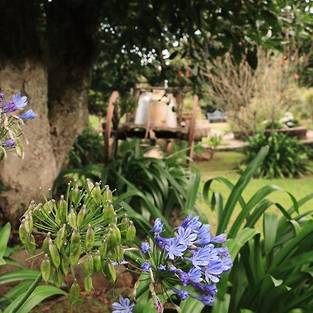 La Huerta Villa Mazamitla Kültér fotó