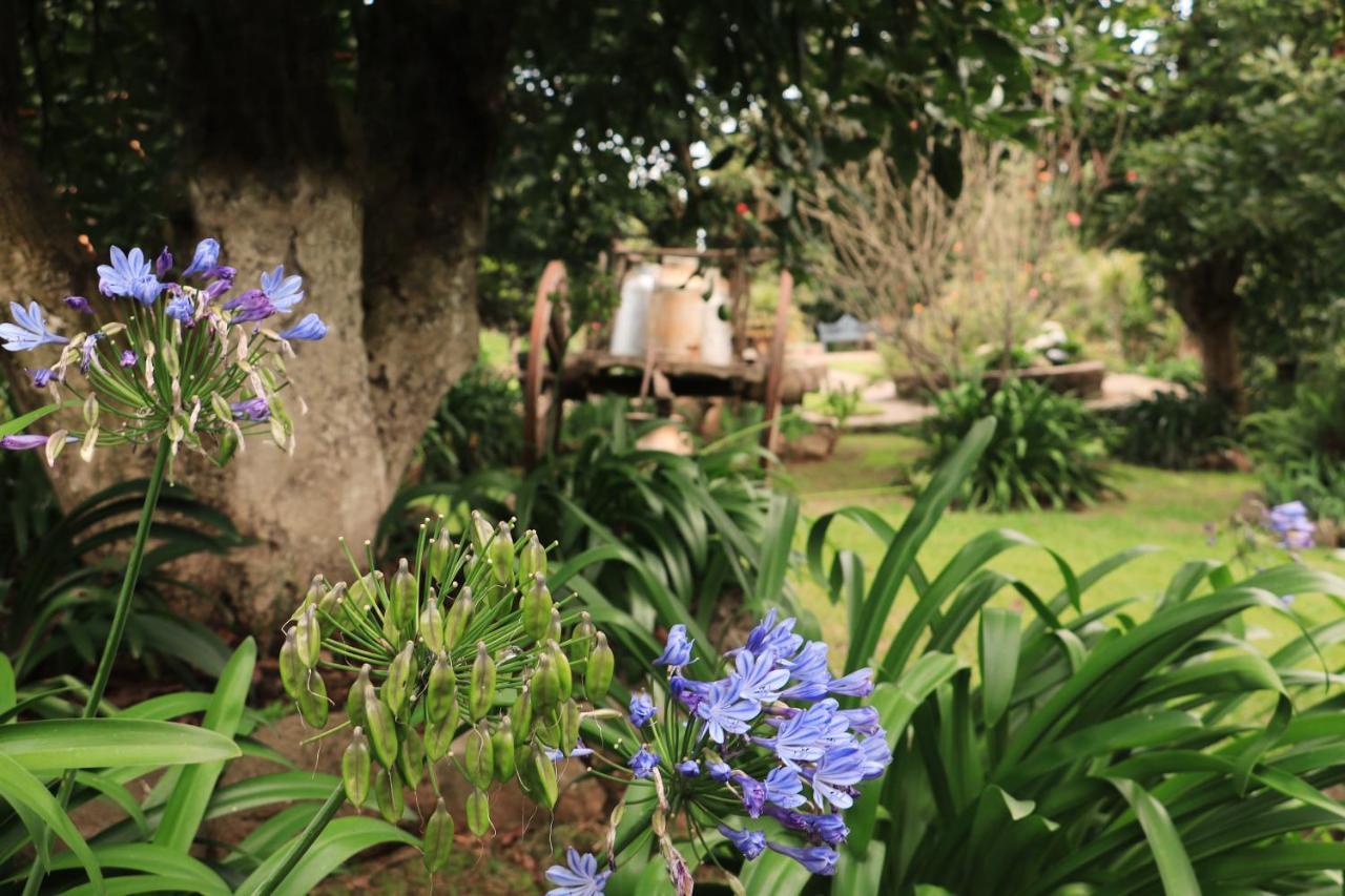 La Huerta Villa Mazamitla Kültér fotó